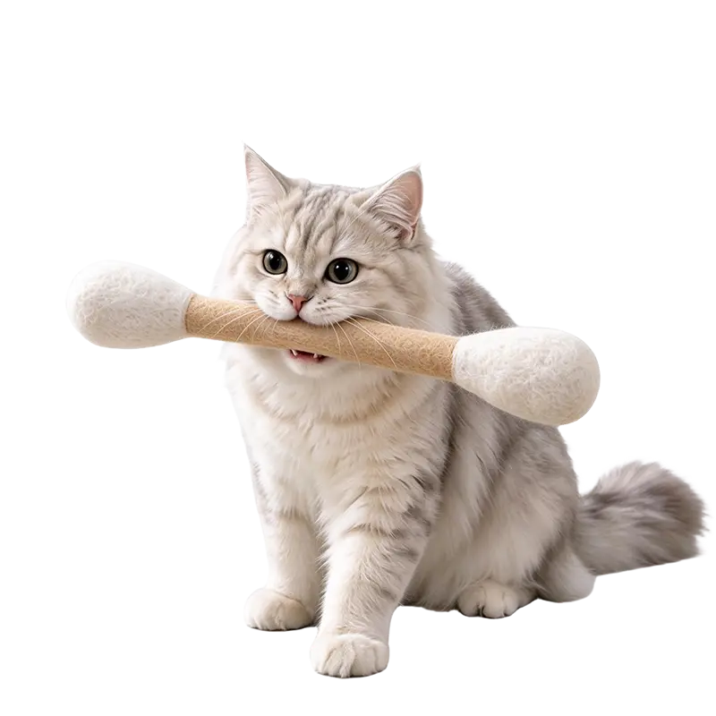 Cat Toys